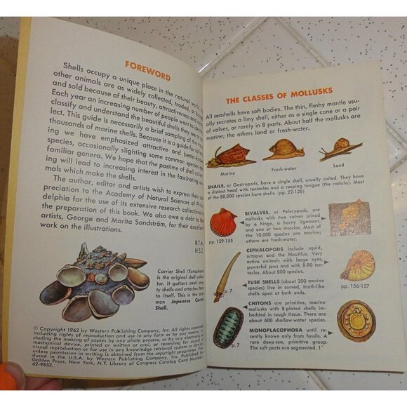 Vintage Seashells of the World Book 1962 A Golden Guide clear Lucite book stand - Picture 7 of 16